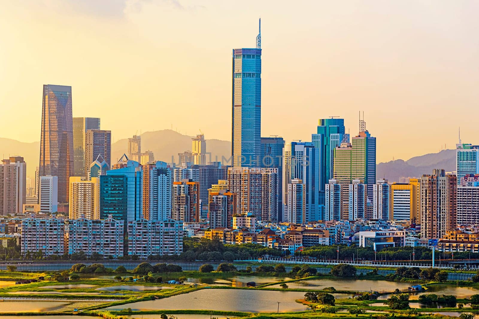 chinese city at sunset , Shen zhen
