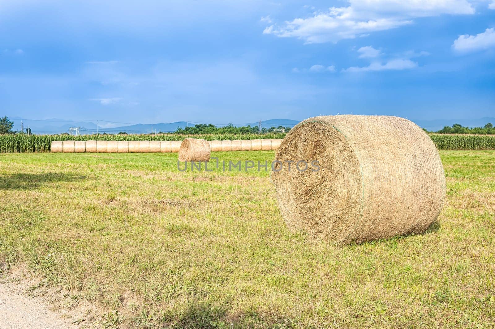 Agricultural landscape with hay bales and a blue sky