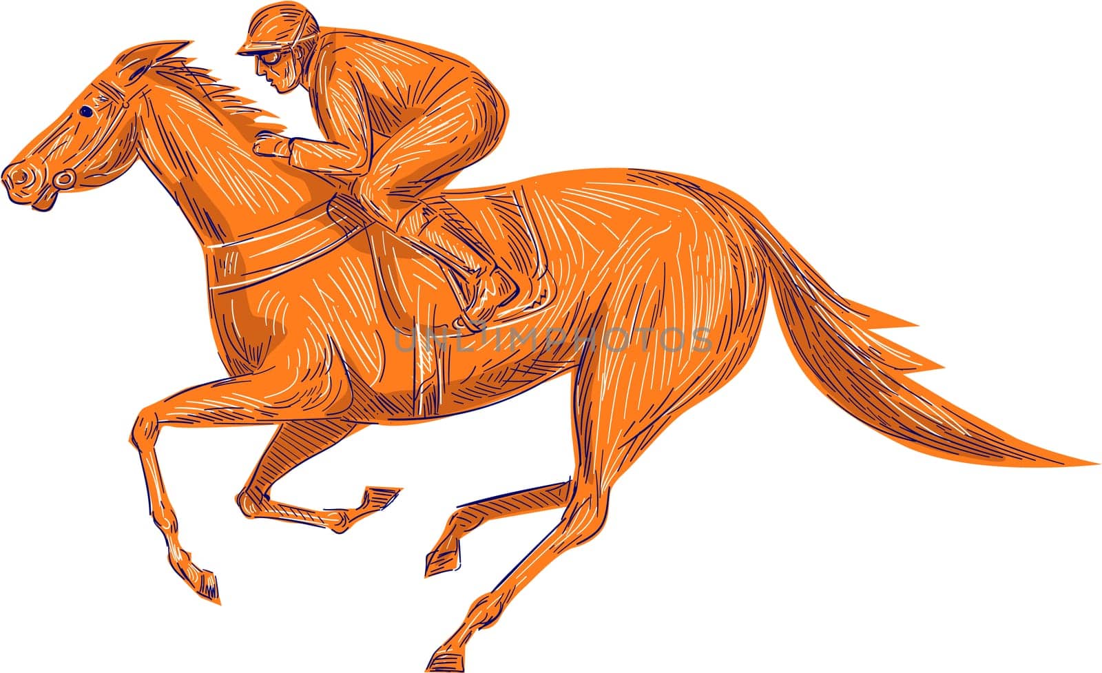 Drawing sketch style illustration of horse and jockey racing viewed from the side set on isolated white background.