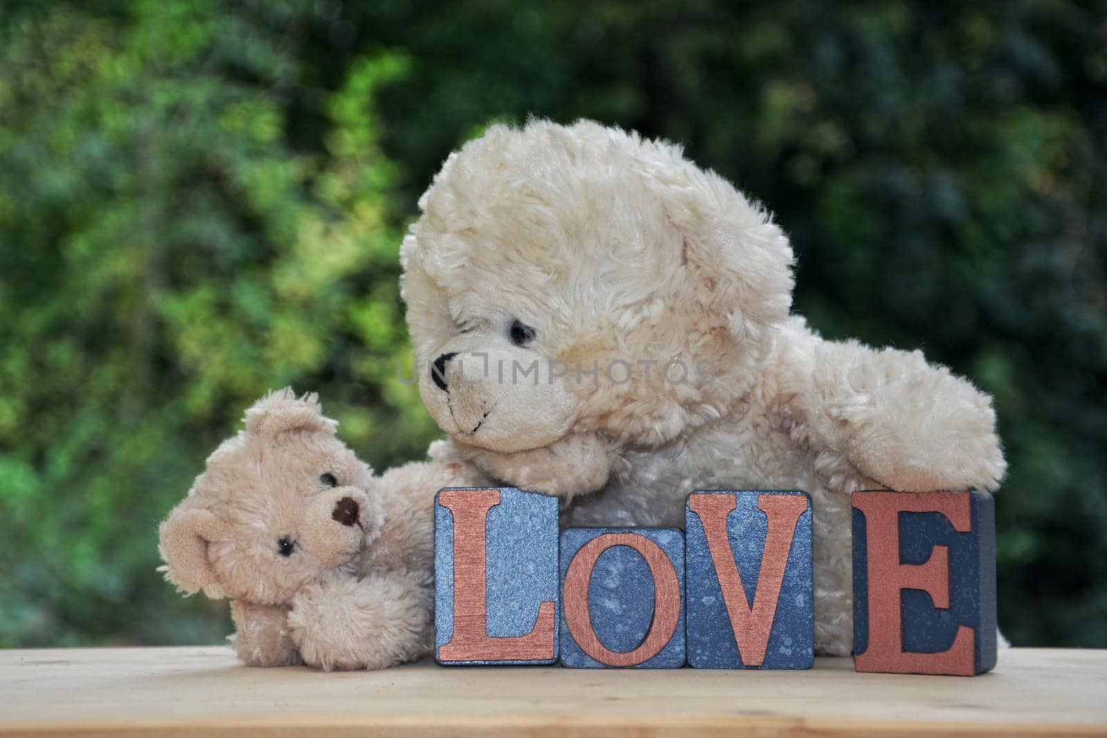 An antique and a white teddy bear with love stones against green nature background and pink roses