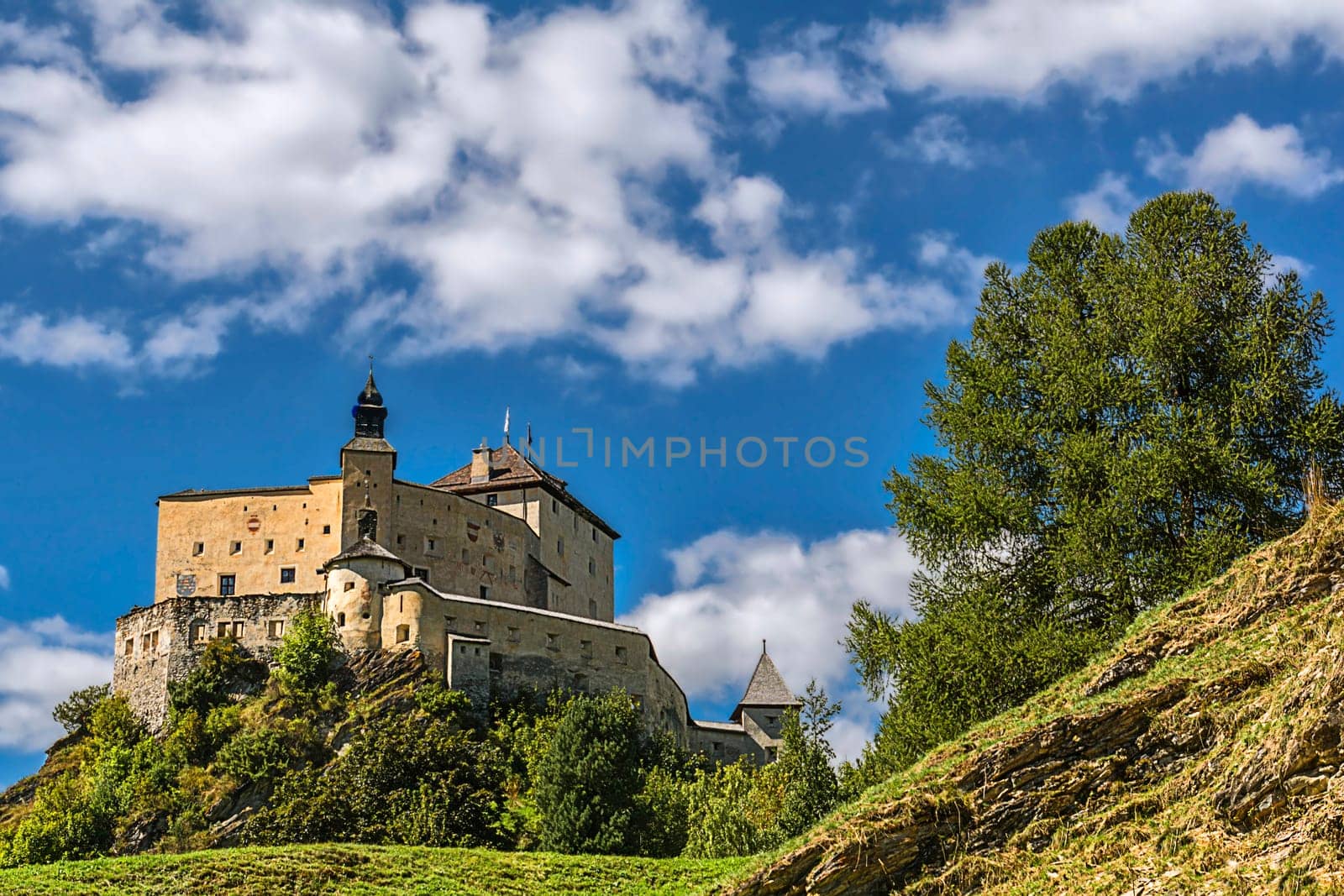 Tarasp Castle with Swiss stone pine