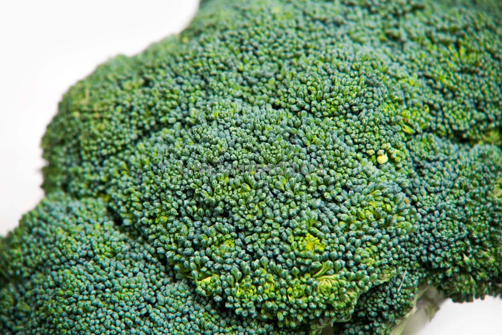 close up on fresh broccoli solated on a white background