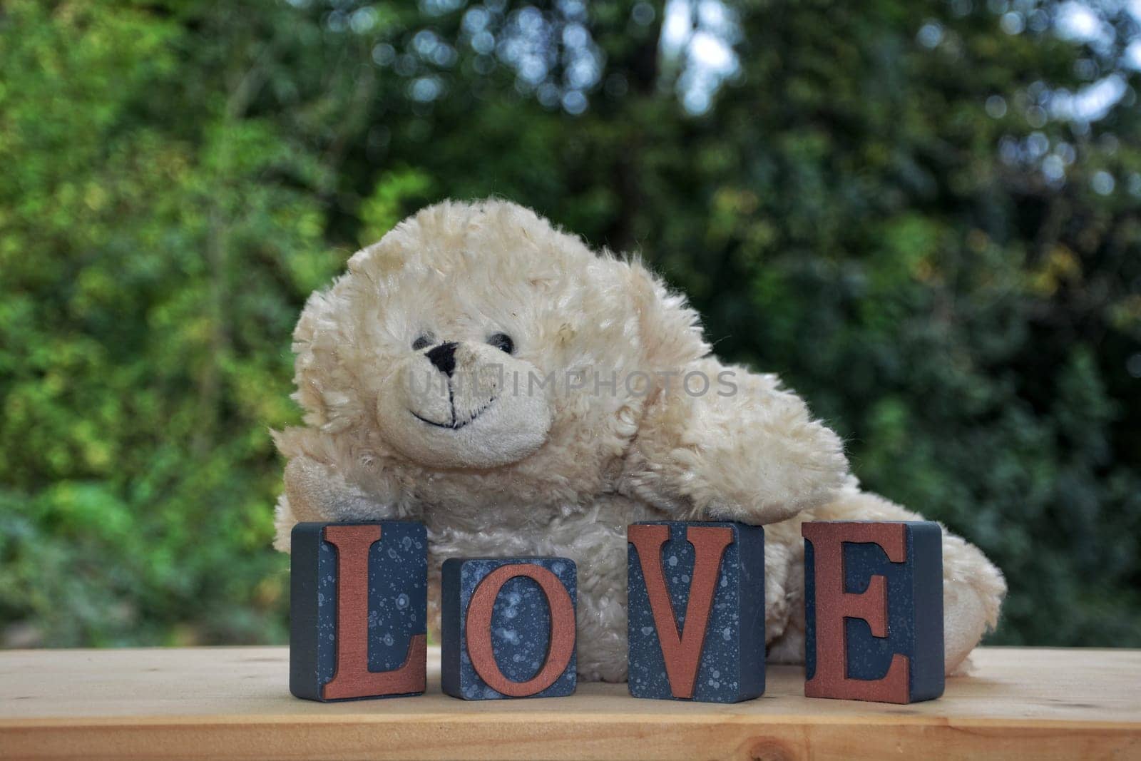 A White Teddy Bear with Love Stones in front of green nature background