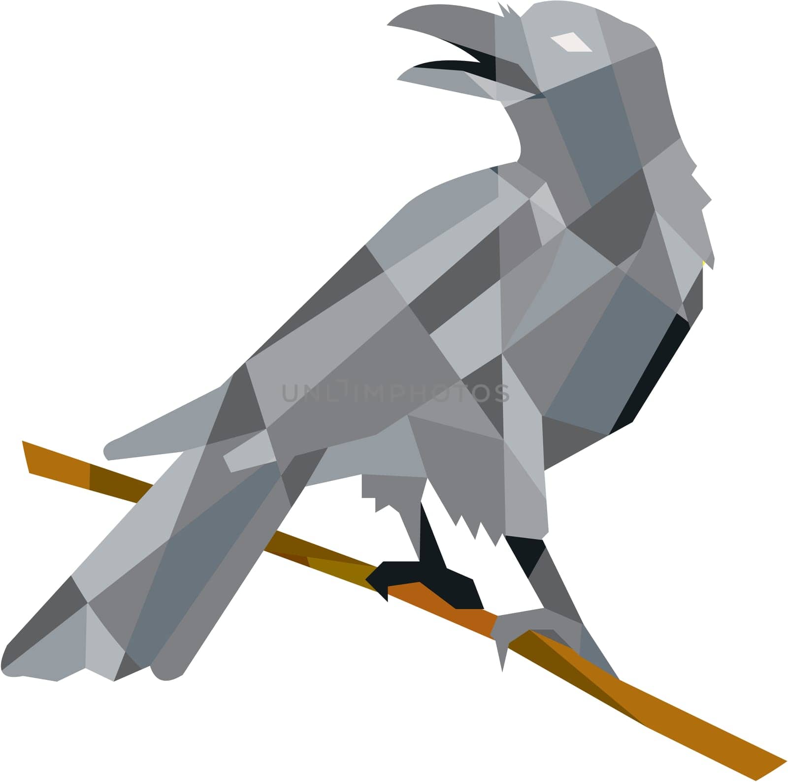 Low polygon style illustration of a crow bird perched on a piece of wood looking back set on isolated white background. .