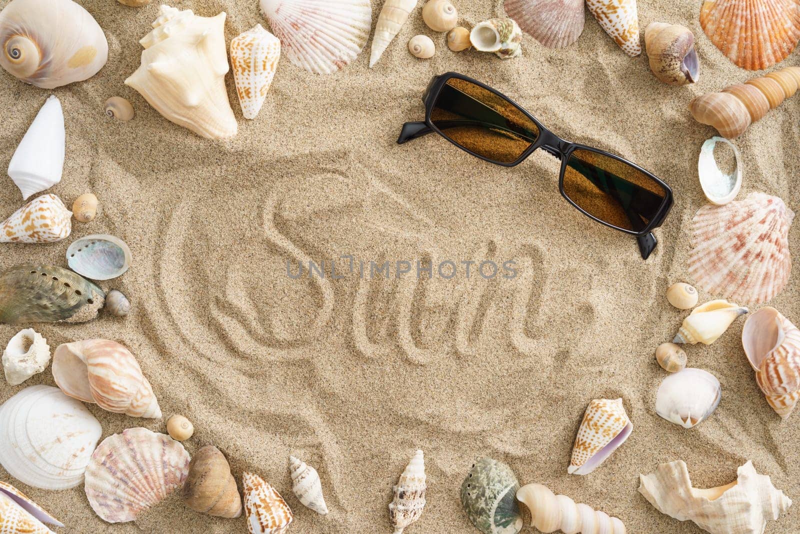 Collection of mussels in the sand with the word sun in the center and sunglasses