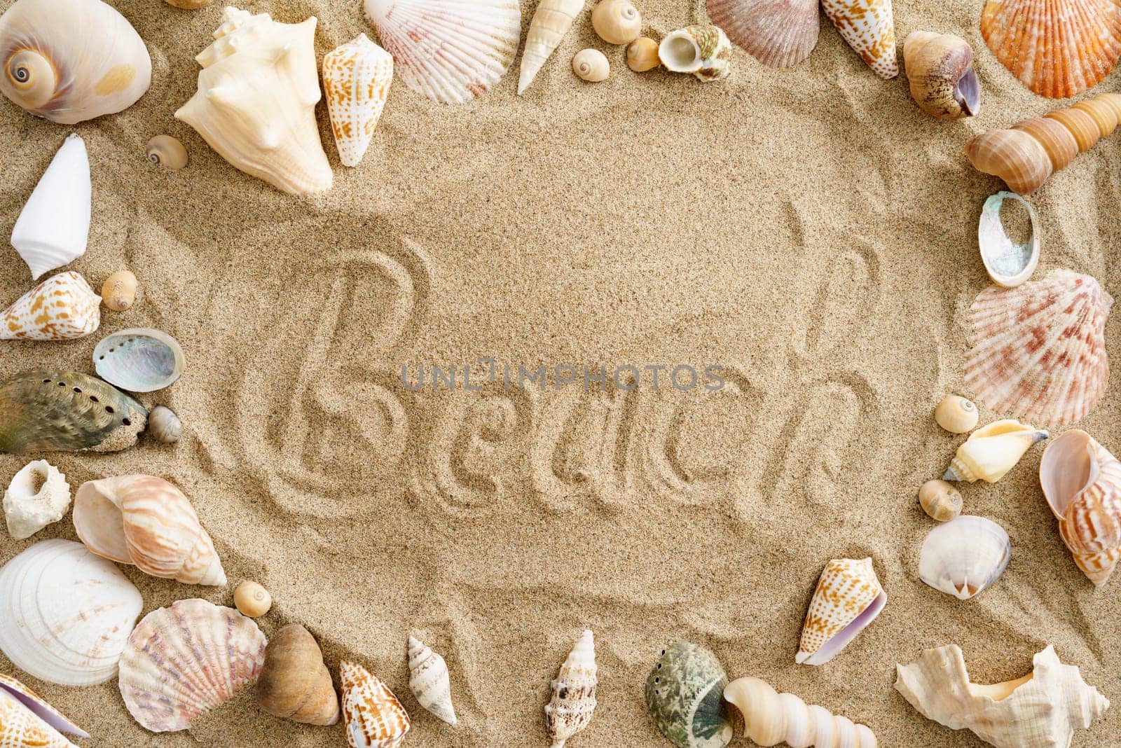 Collection of mussels in the sand with the word beach in the center