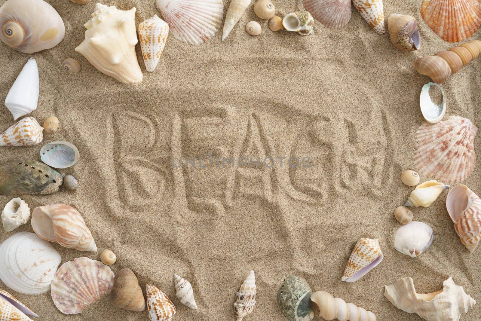 Collection of mussels in the sand with the word beach in the center