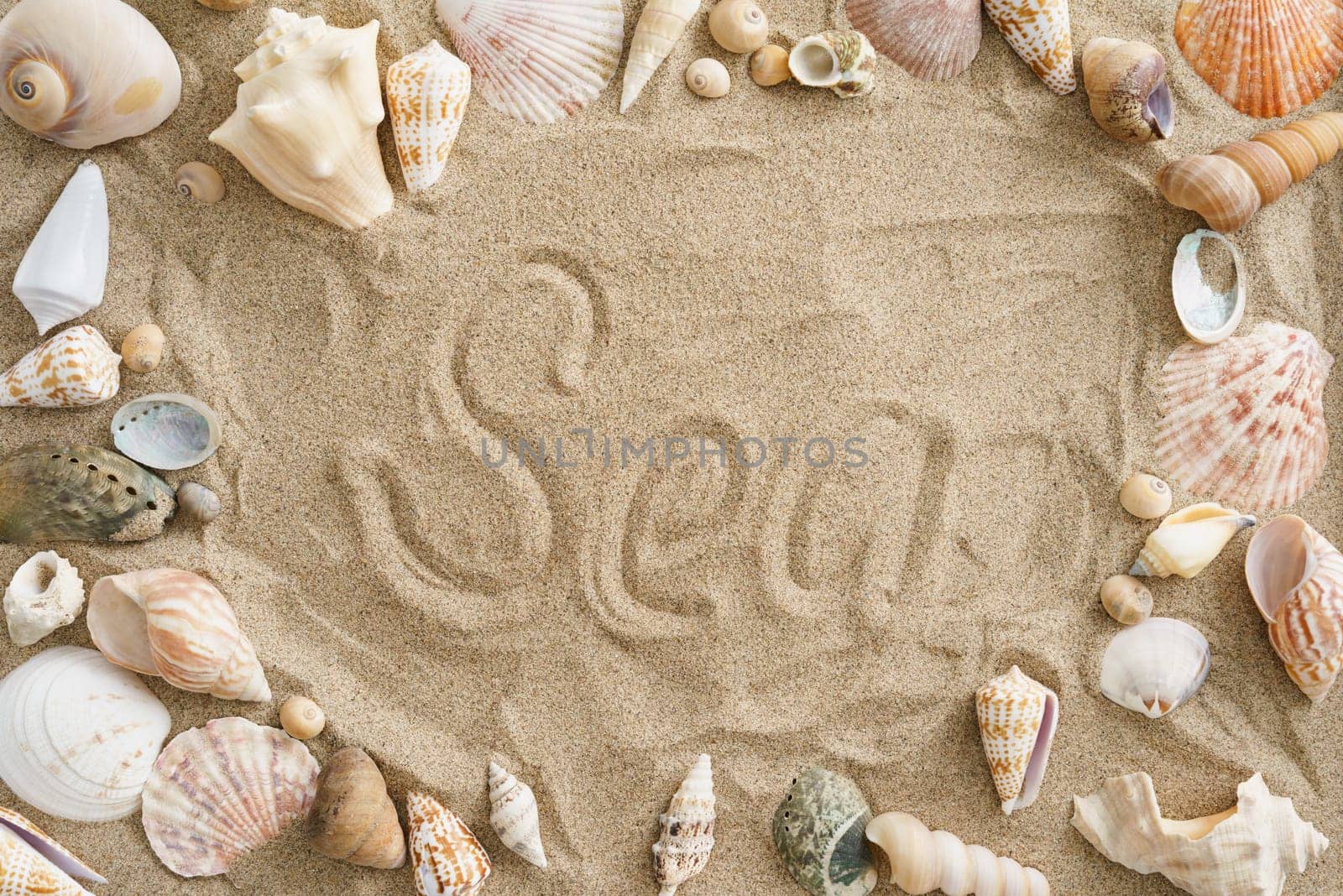 Collection of mussels in the sand with the word sun in the center