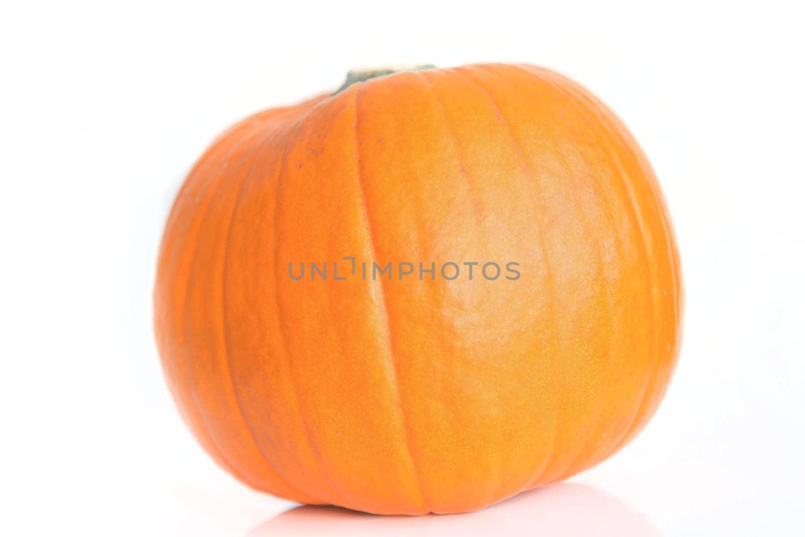 fresh orange pumpkin isolated on white background