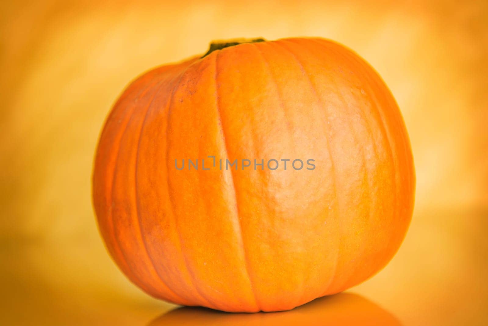 pumpkin on orange background background,halloween theme