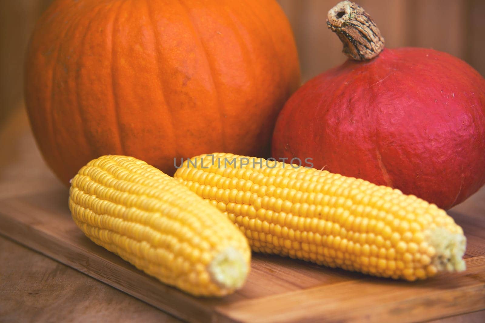 pumpkins and corn arrangement on wooden background