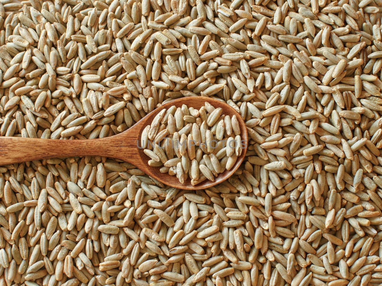Dry Raw Rye Grain with a spoon top view