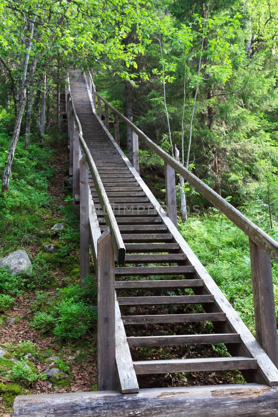 The famous staircase on Mount Sekirnaya,Solosky,Karelia,north of Russia.