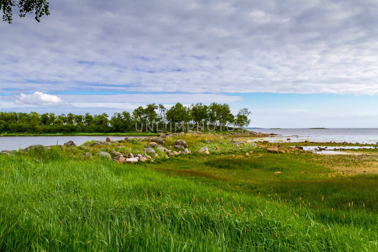 Solovetsky Islands noerdlich from Russia. Karelia.