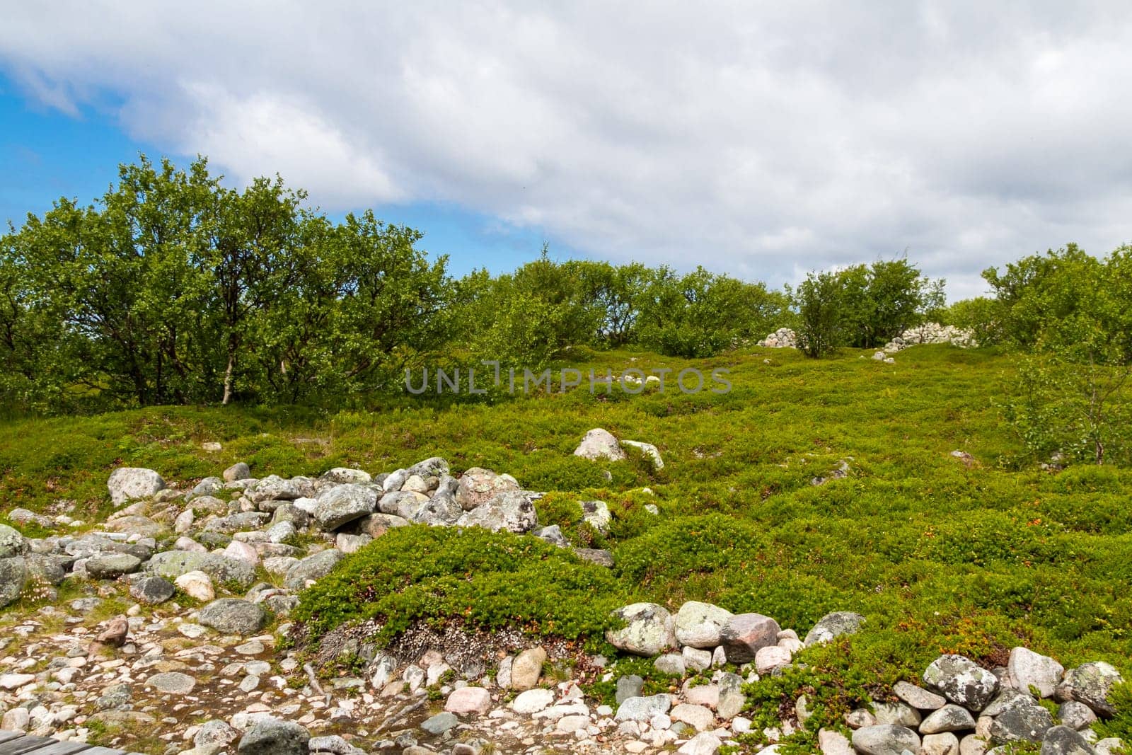 Zayatsky Island of the Solovetsky Archipelago,Karelia,north of Russia.