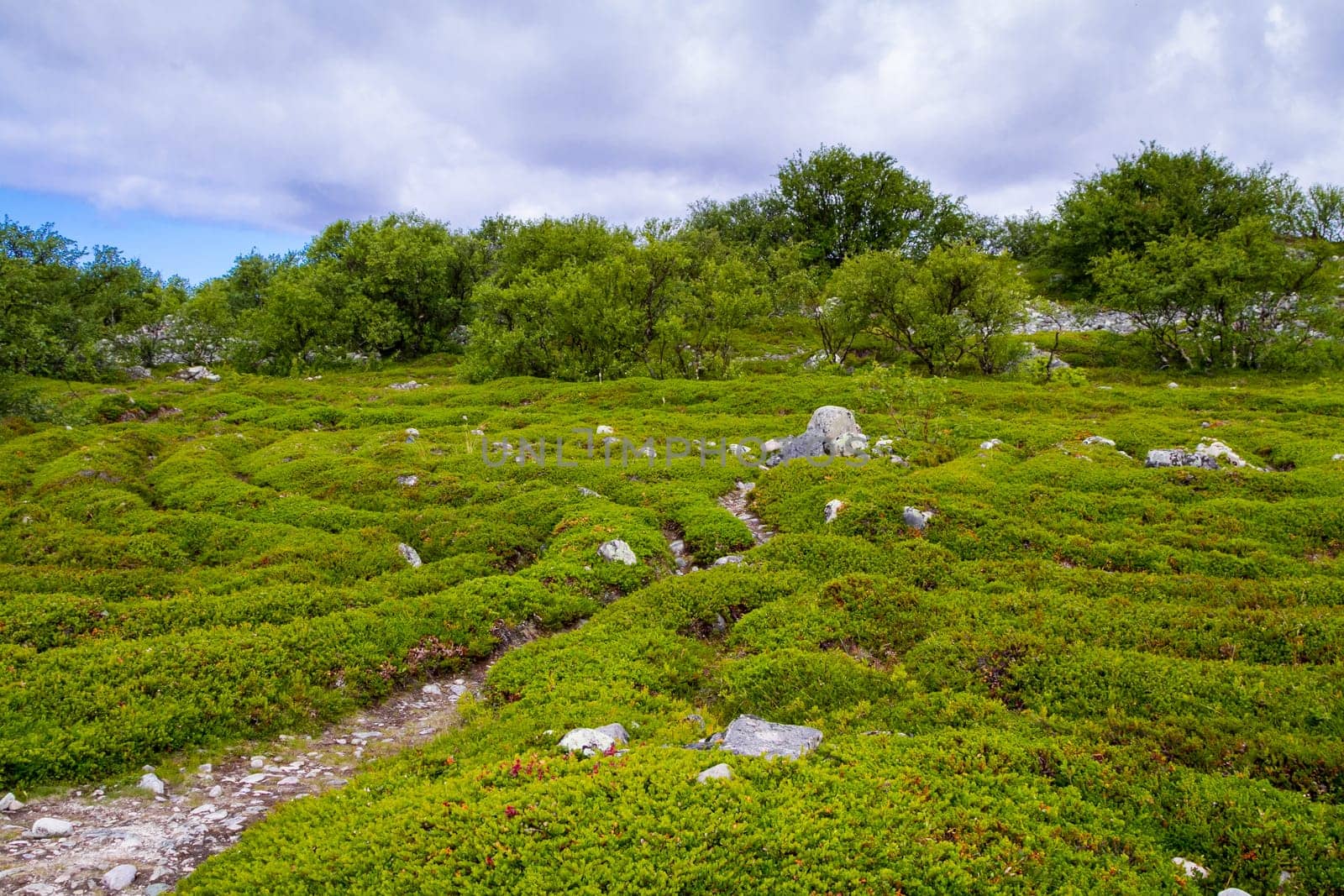 The labyrinth on Zayatsky Island,Karelia,north of Russia.