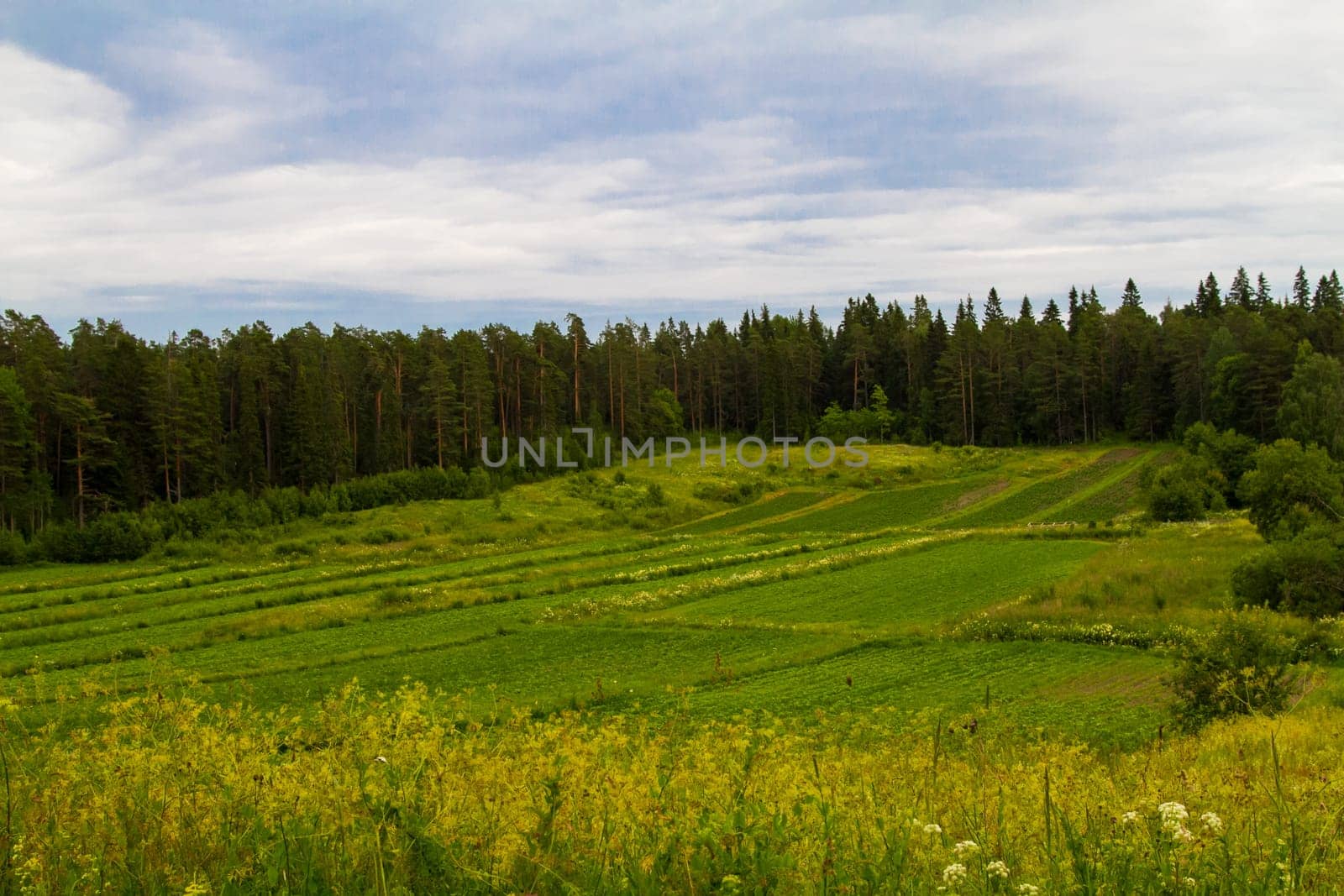 The fields of Valaam,Russia.