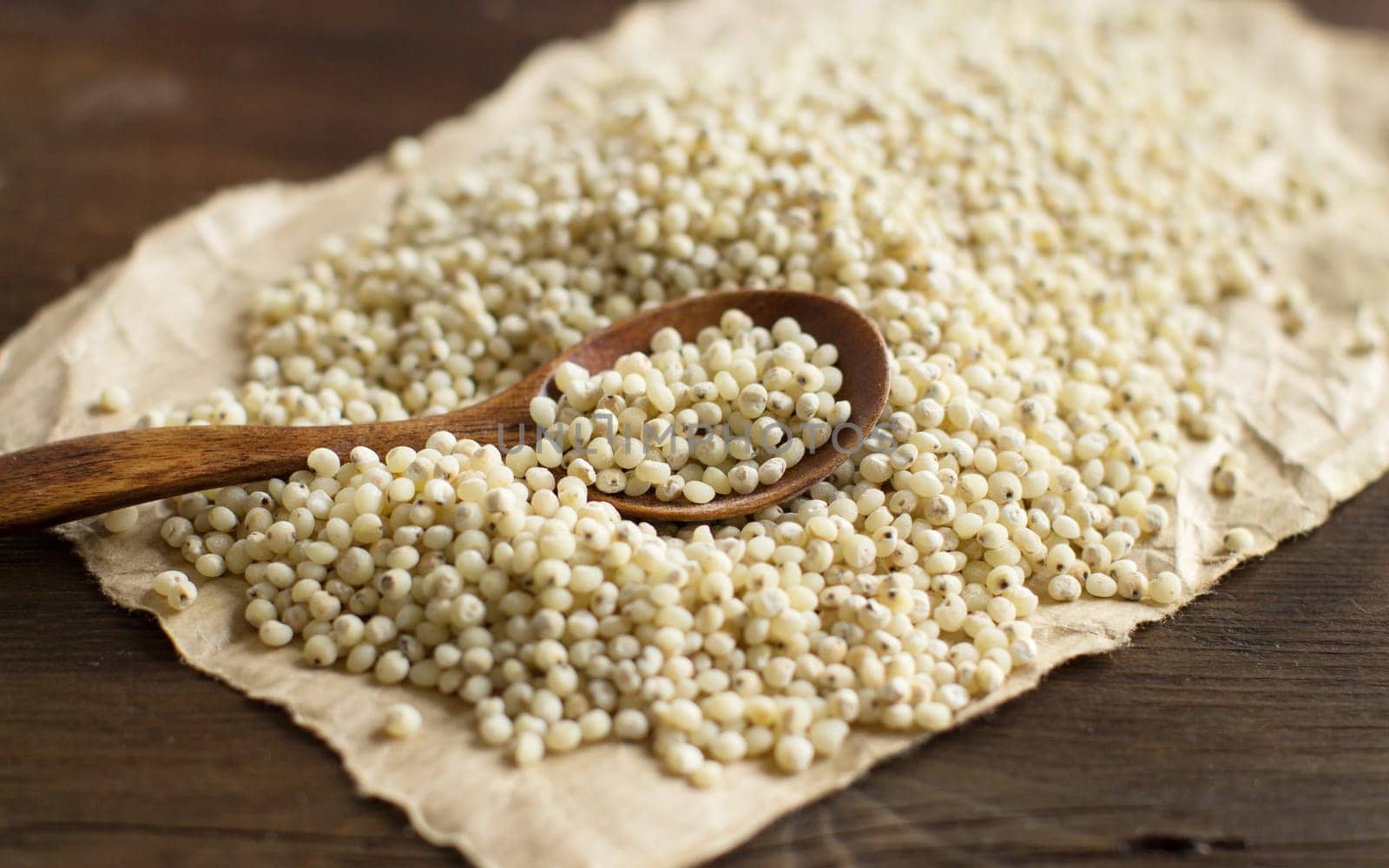White Sorghum grain with a spoon close up