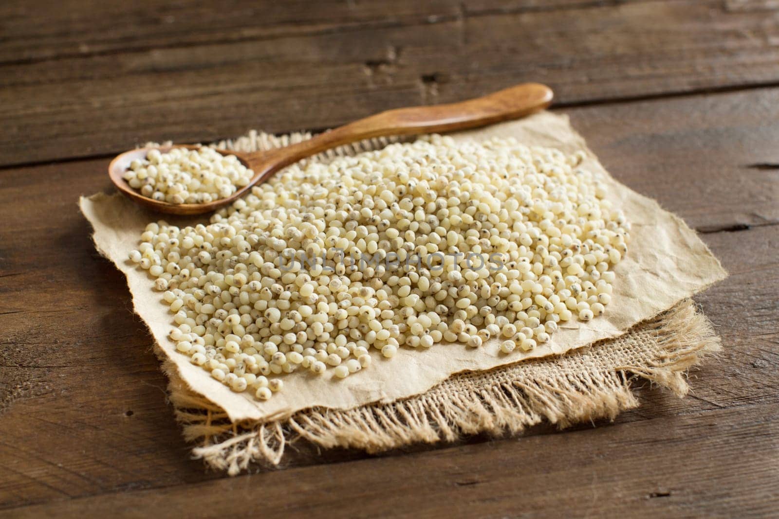White Sorghum grain with a spoon close up
