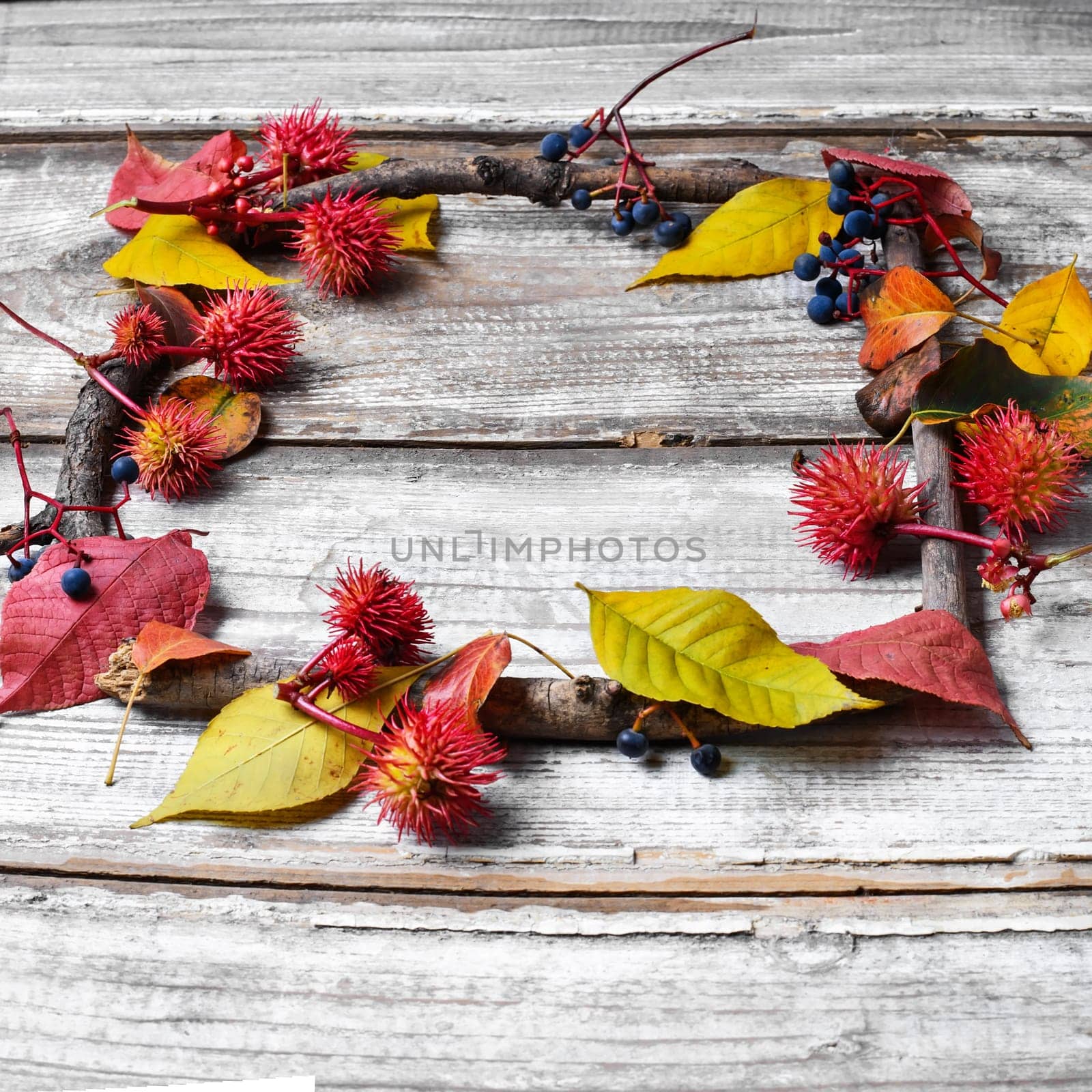 autumn background of leaves and dry branches