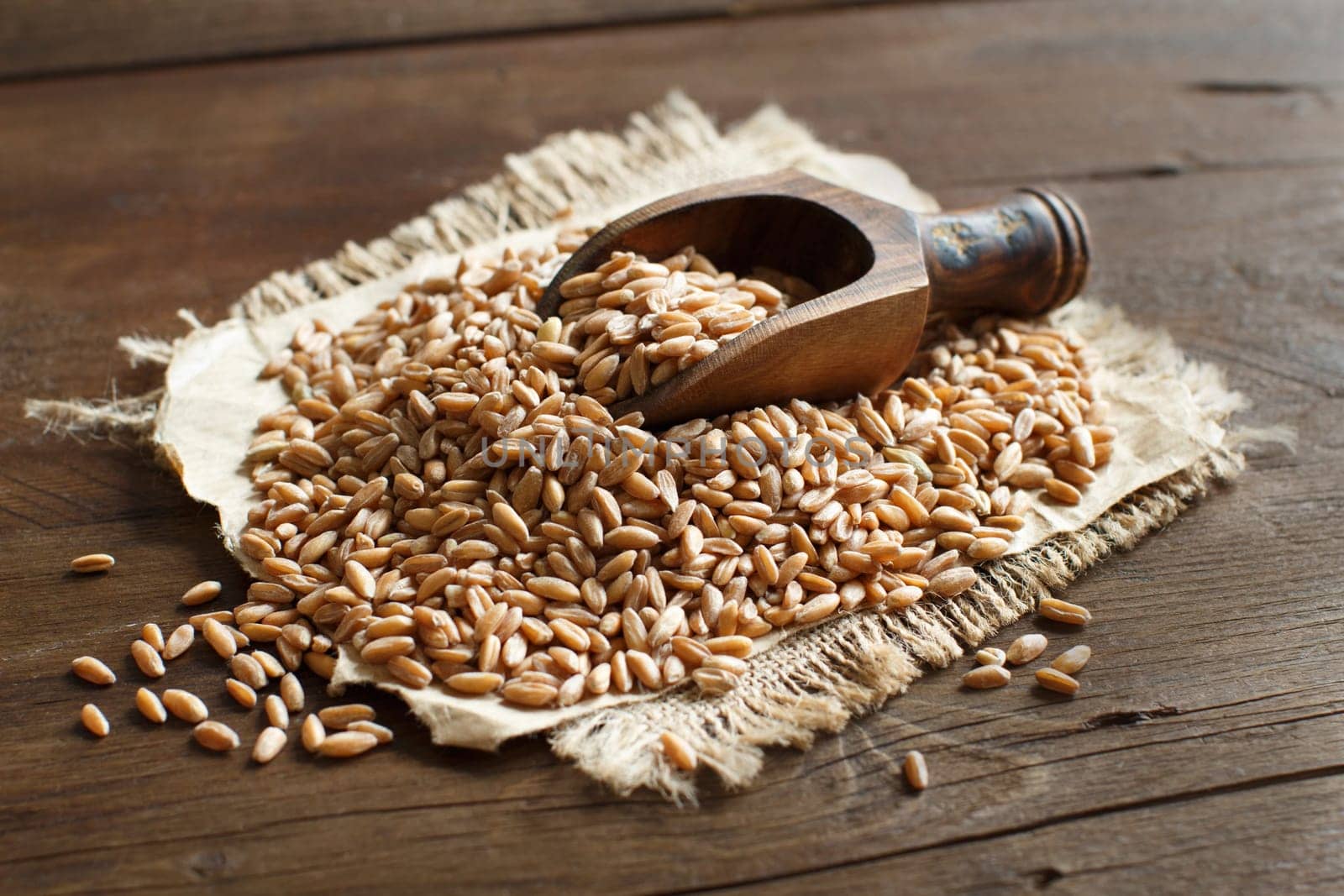 Uncooked whole spelt with a wooden spoon on the table