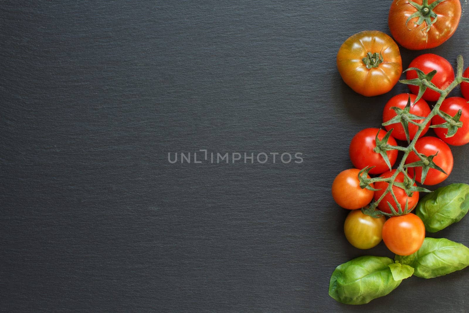 Fresh tomatoes and basil on a dark background