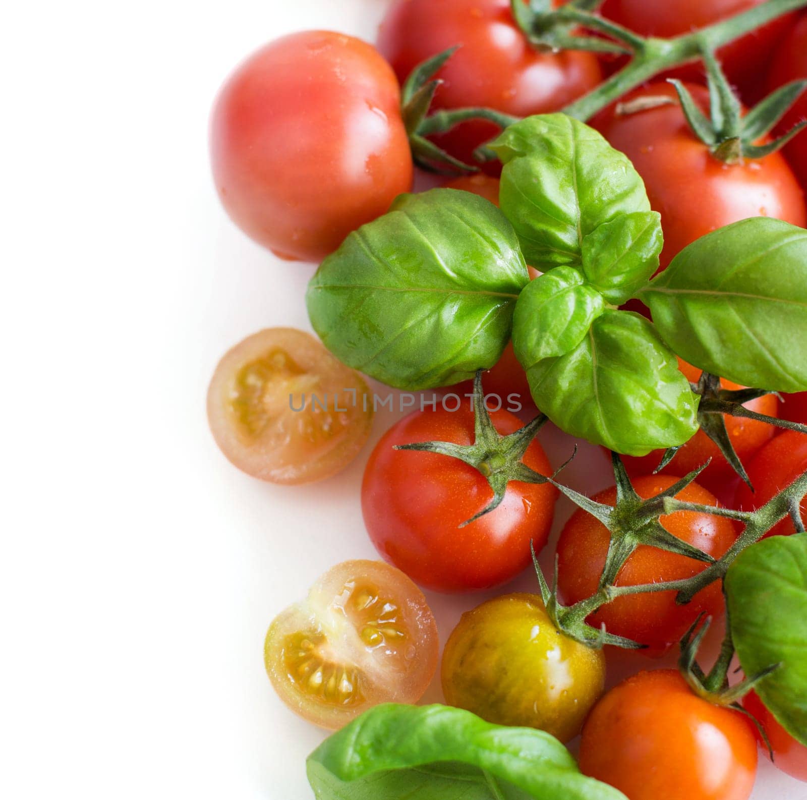 Cherry tomatoes and basil isolated on white background
