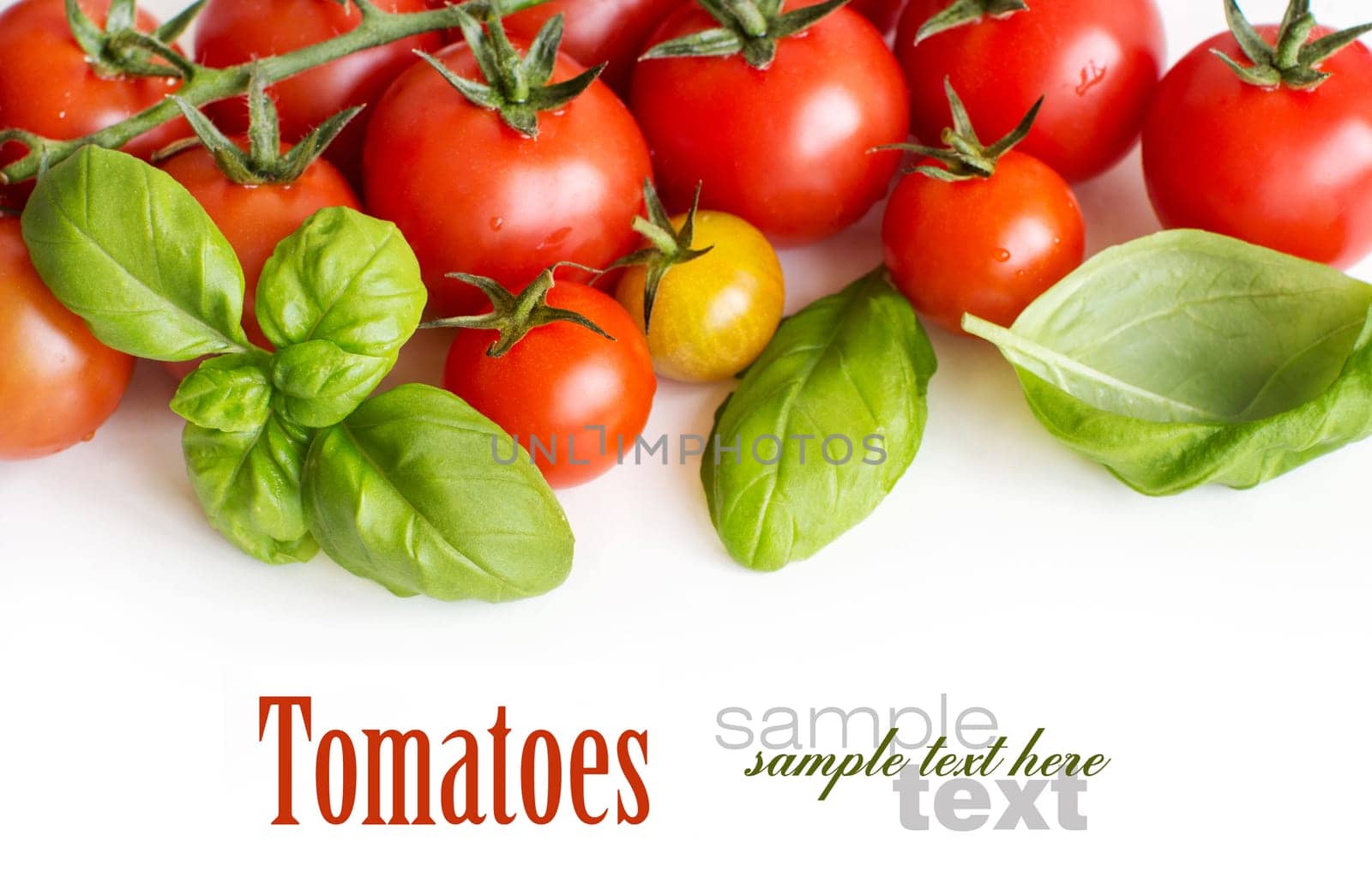 Cherry tomatoes and basil isolated on white background