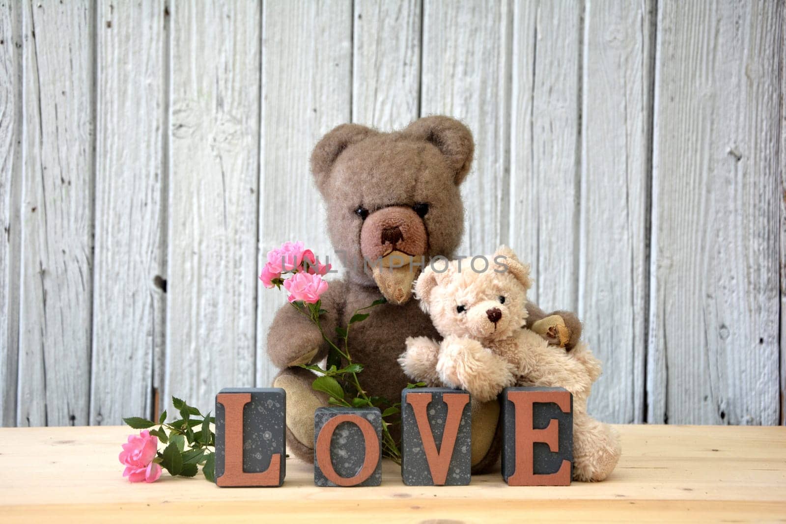 Two teddy bears with pink roses and love lettering in front of an old white wooden wall