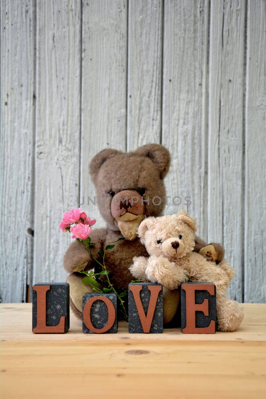 Two teddy bears with pink roses and love lettering - letter cube of old white wooden wall