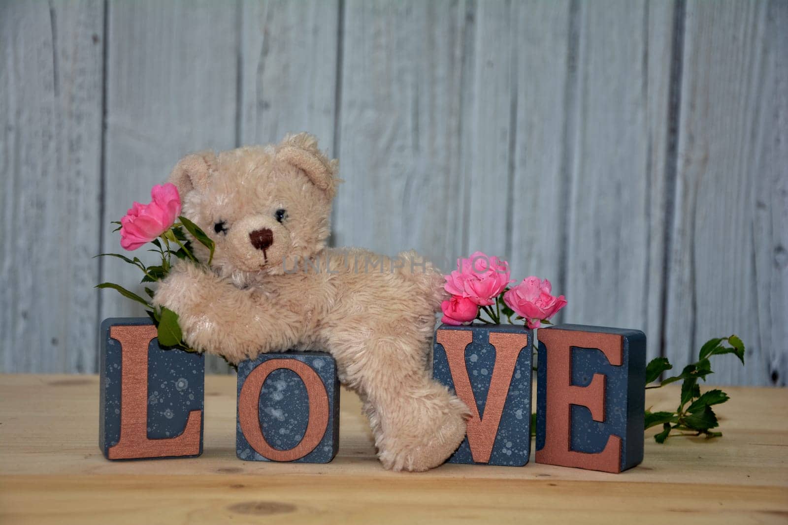 White teddy bear lies on cubes with the word Love in front of a white wooden wall and with pink roses