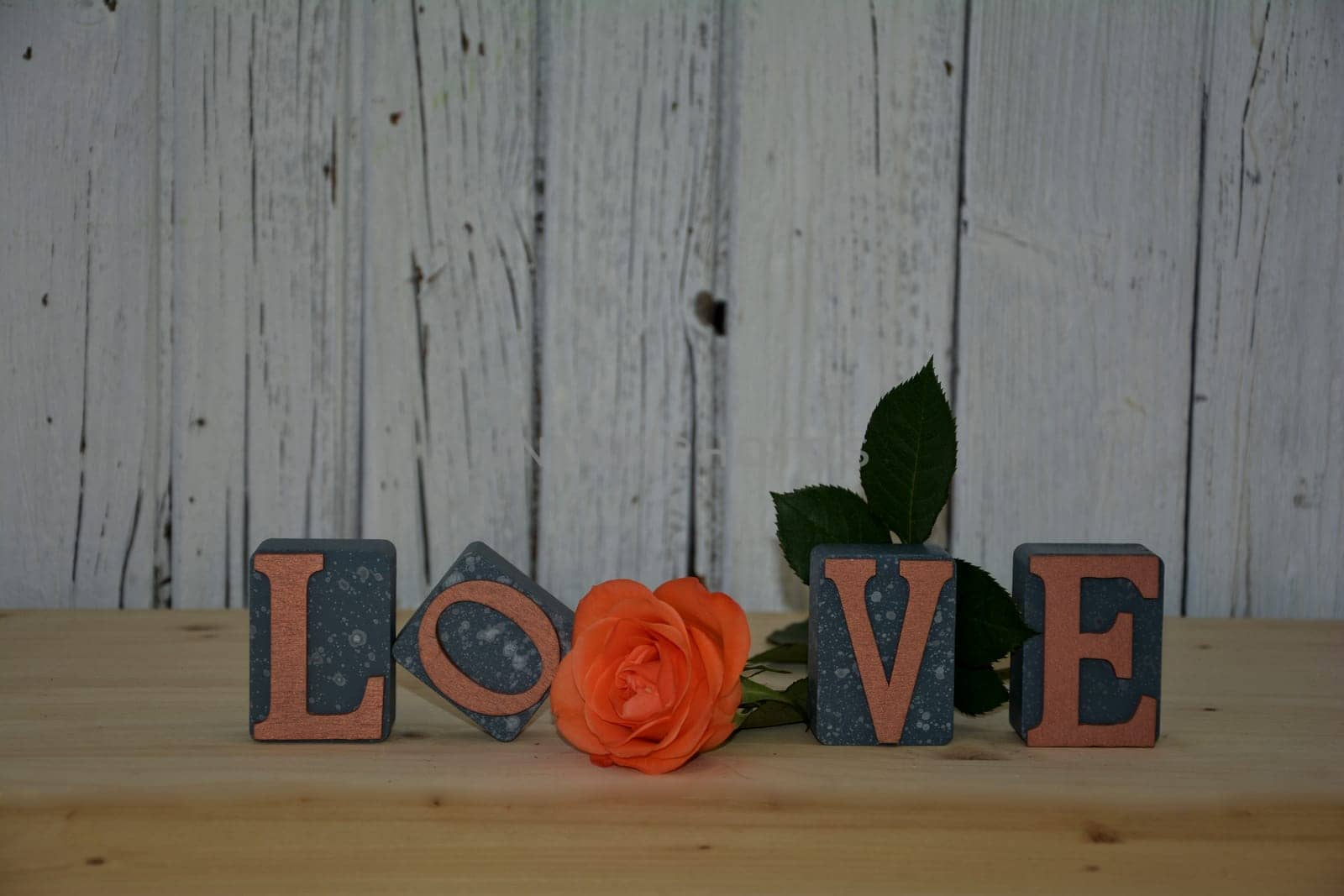 Building blocks with the word love and orange roses in front of a white wooden wall