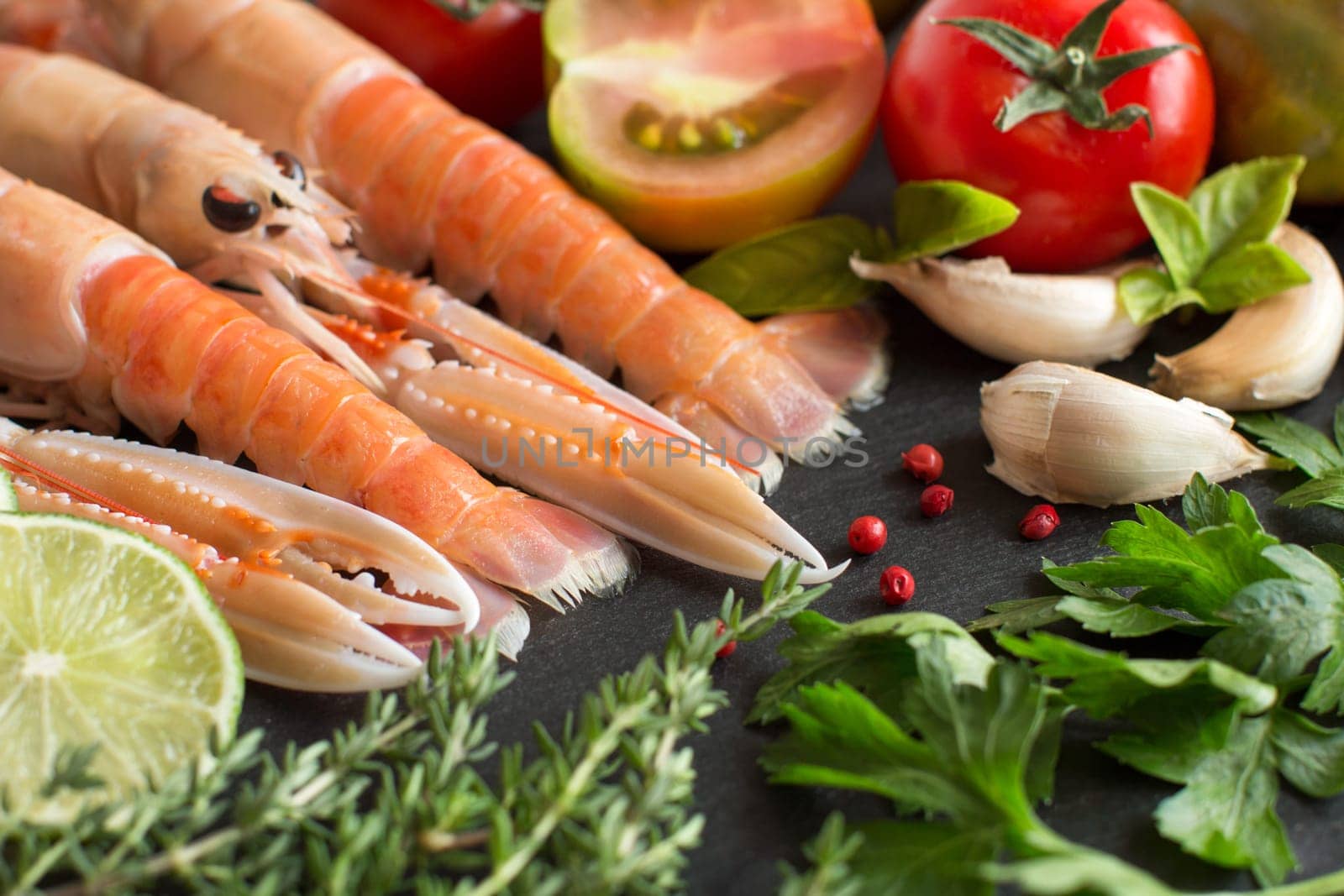 Raw langoustines with vegetables and herbs on the dark background