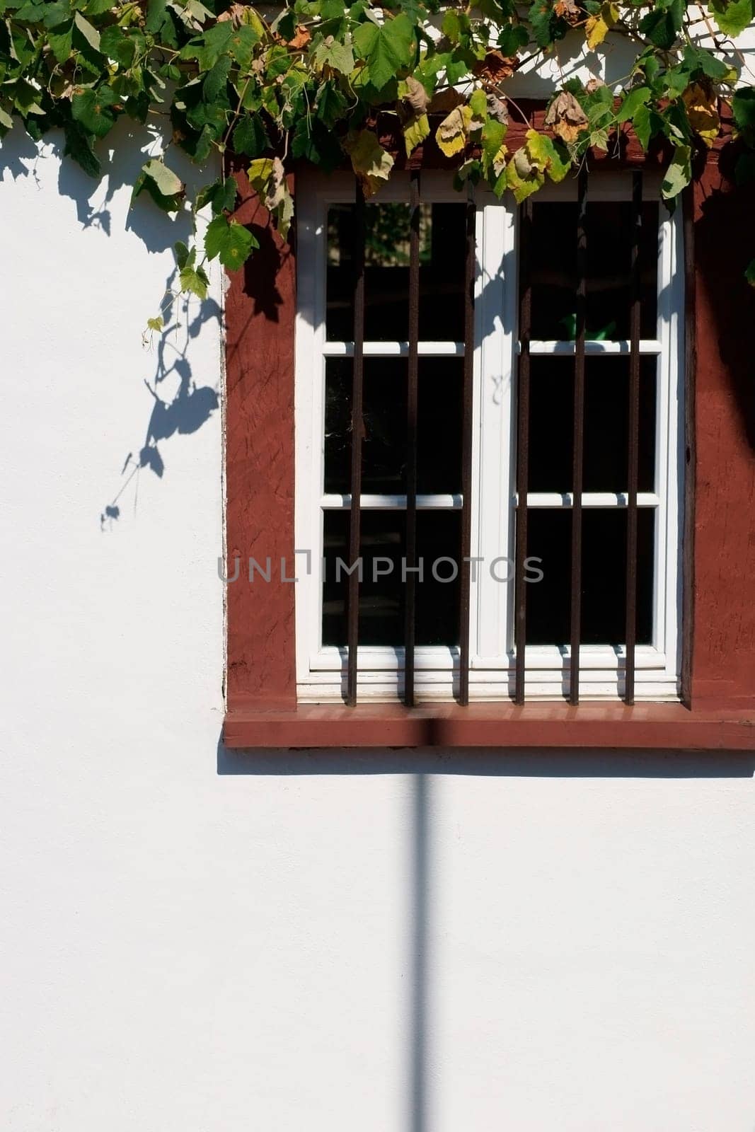 The nostalgic wooden window of a listed house with iron bars in front of the frame,a bright façade and vine leaves.