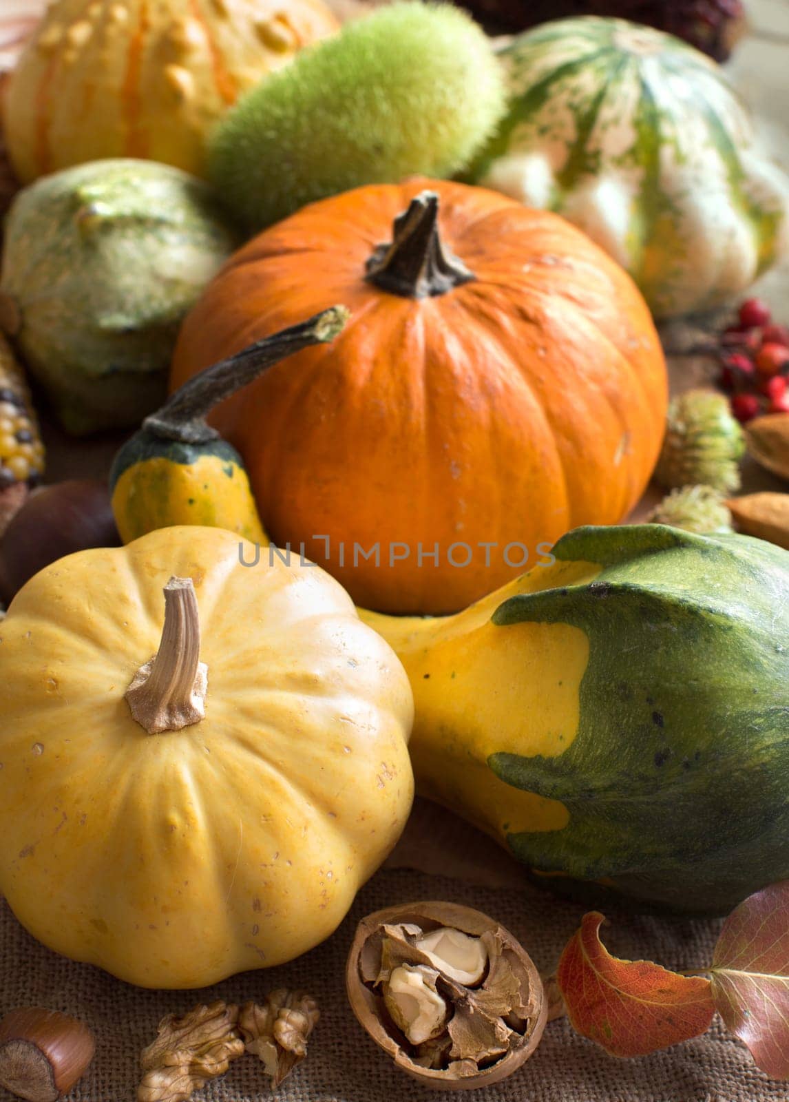 Pumpkins, nuts, leaves and berries on a burlap background