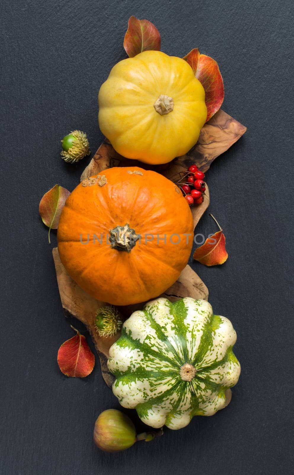 Pumpkins, acorns, leaves and berries on dark background