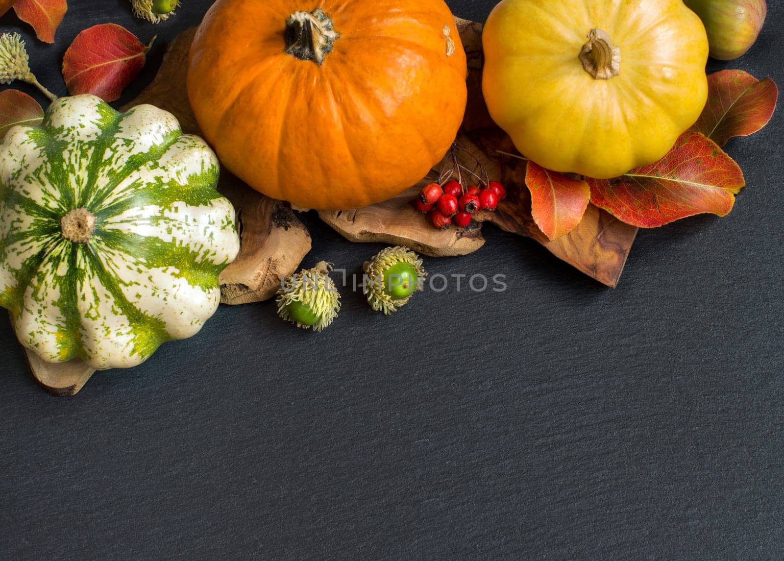 Pumpkins, acorns, leaves and berries on dark background