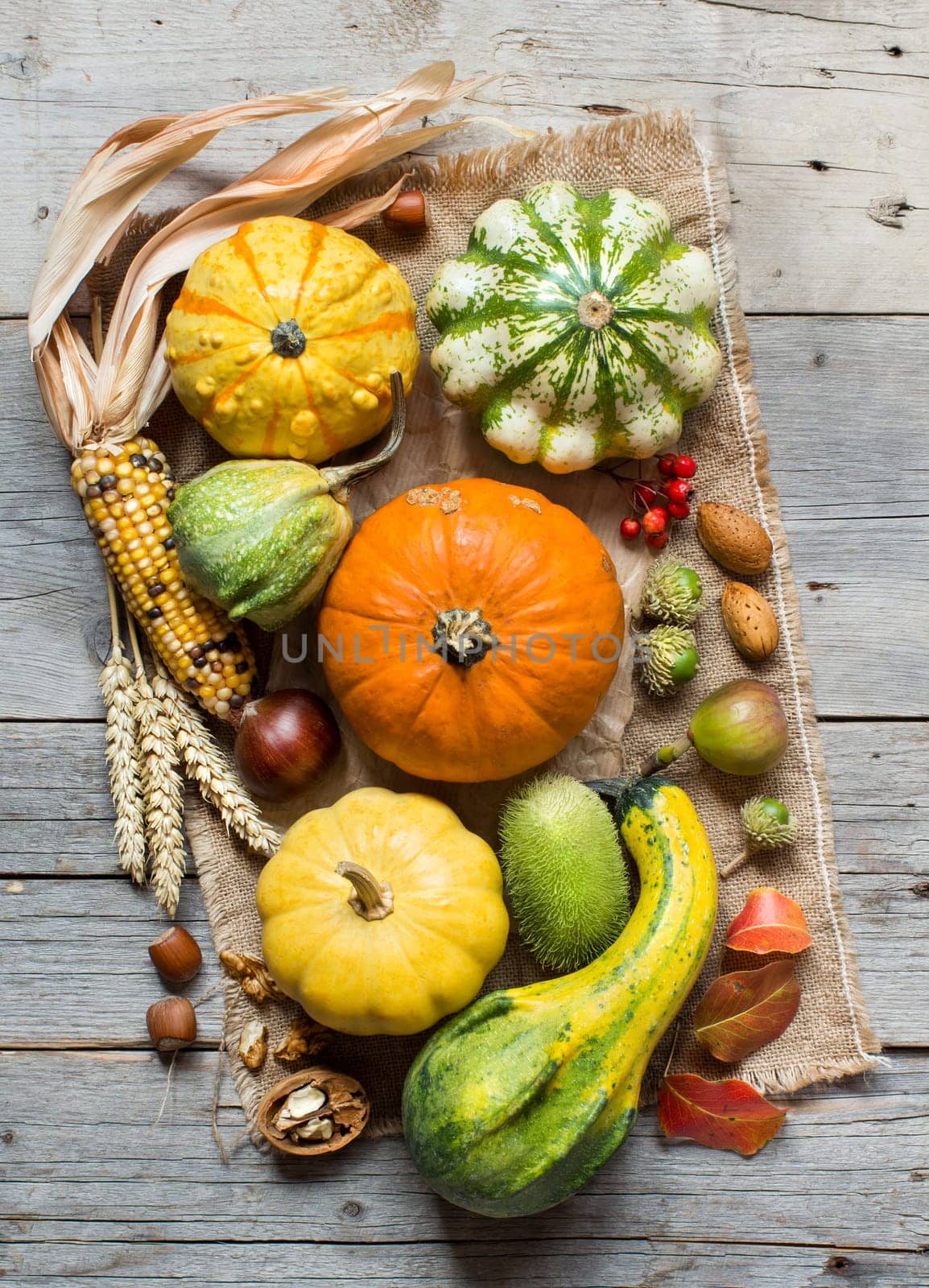 Pumpkins, corn cob, wheat spikes, nuts, acorns, leaves and berries on wooden background