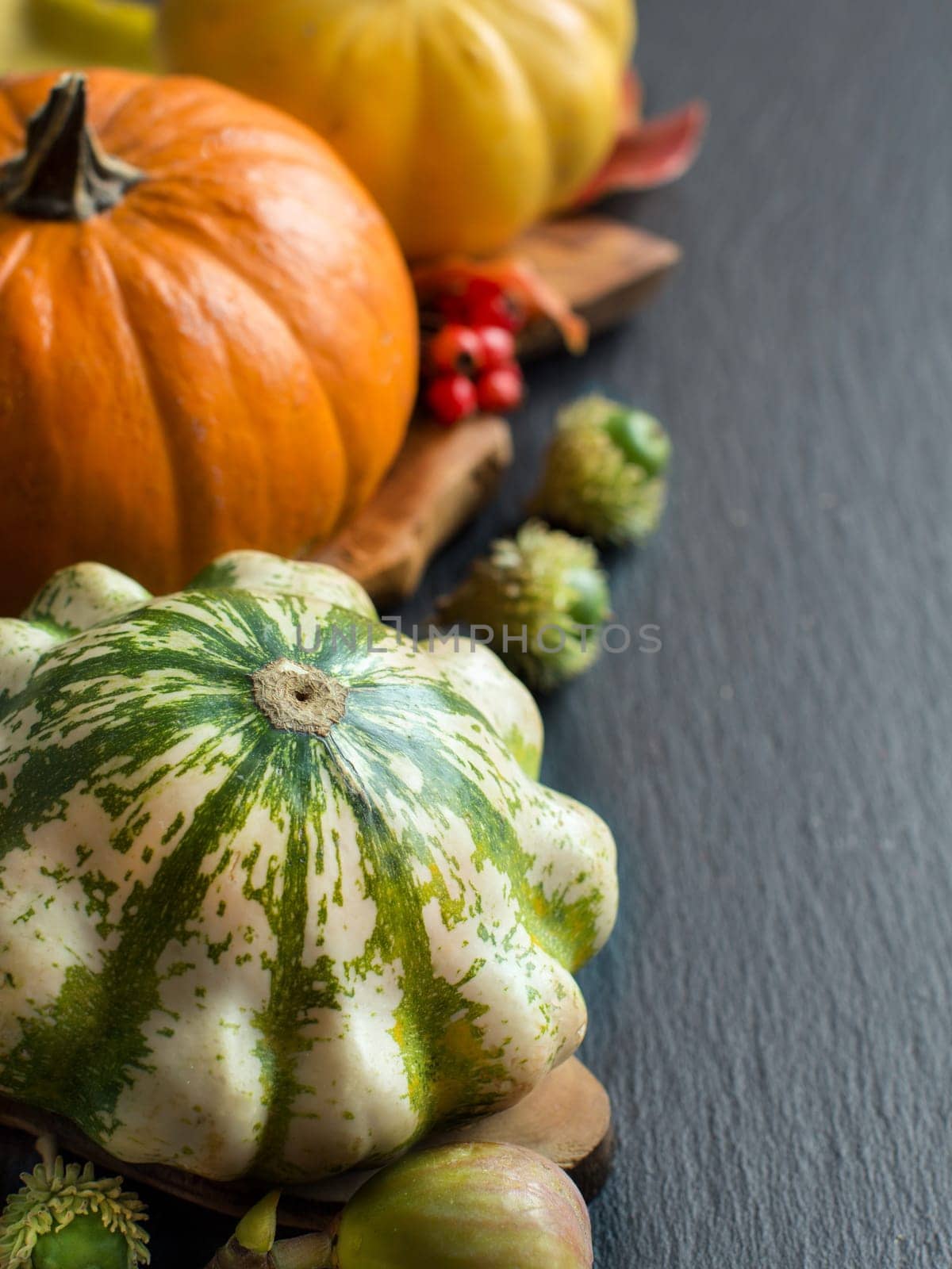 Pumpkins, acorns, leaves and berries on dark background