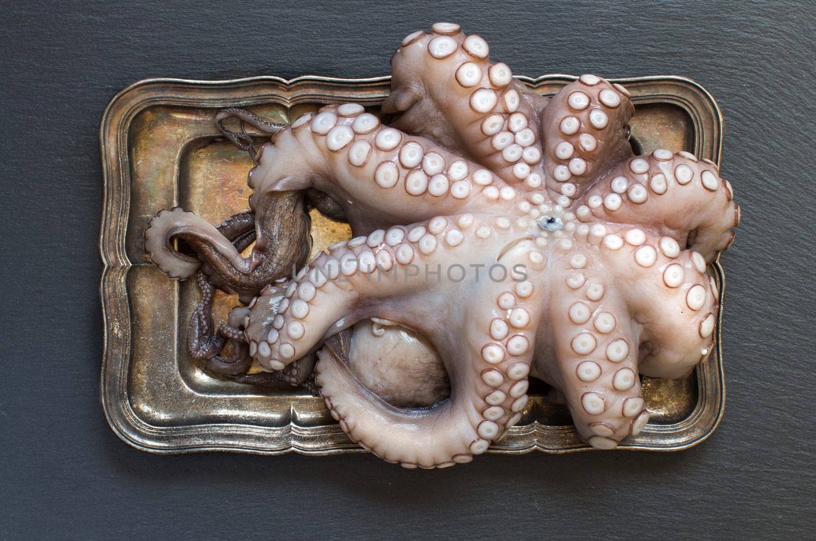 Raw octopus on tray on a dark backgraund