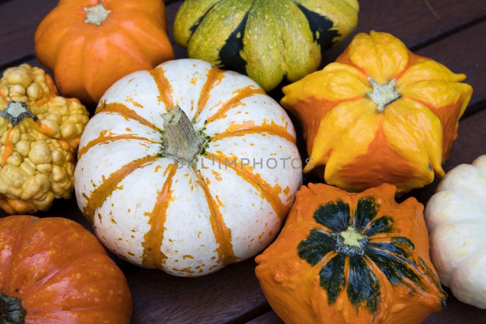 Colourful decorative autumn gourd.