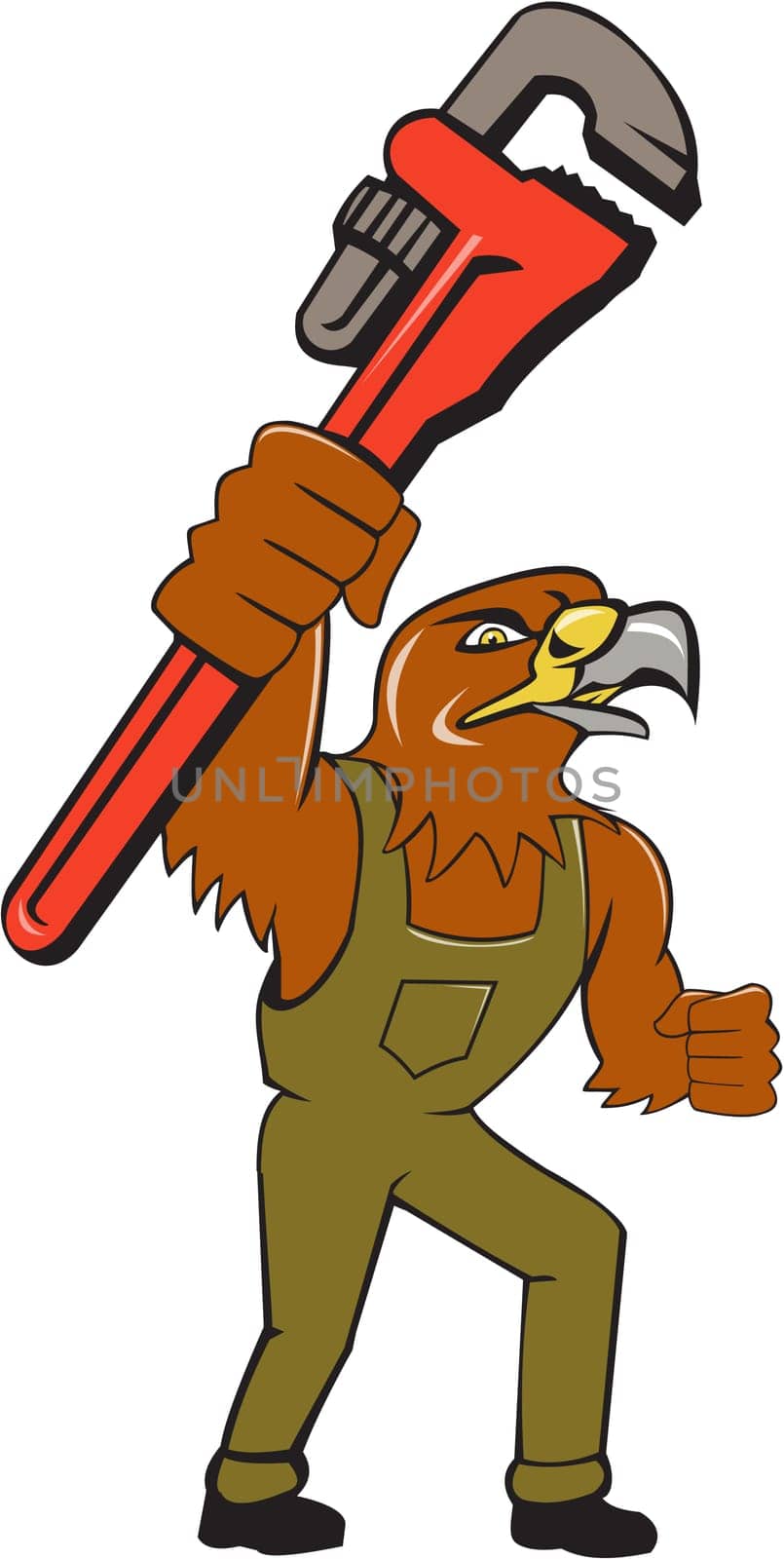 Illustration of a hawk mechanic standing raising up pipe wrench spanner set on isolated white background done in cartoon style.