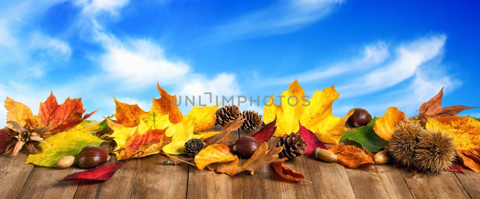 Colorful autumn leaves,cones and chestnuts on wooden surface,with nice blue sky and white clouds in the background