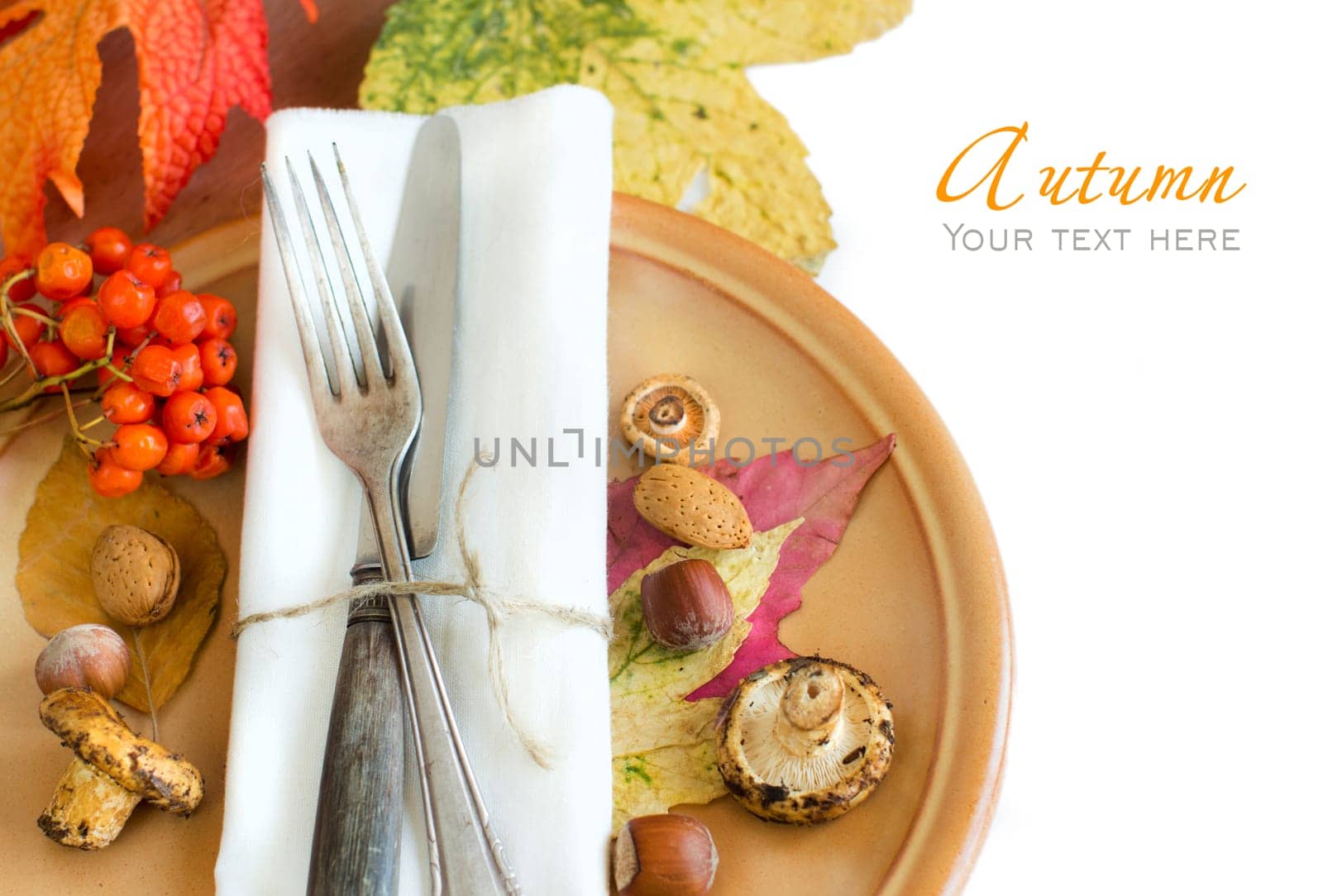 Autumn rustic table setting with berries, leaves, muchrooms and nuts