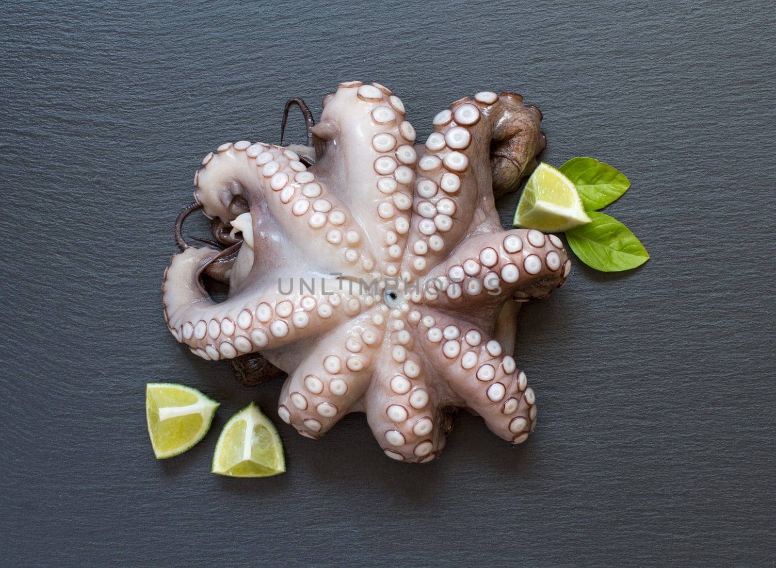 Raw octopus with lime and basil over dark background