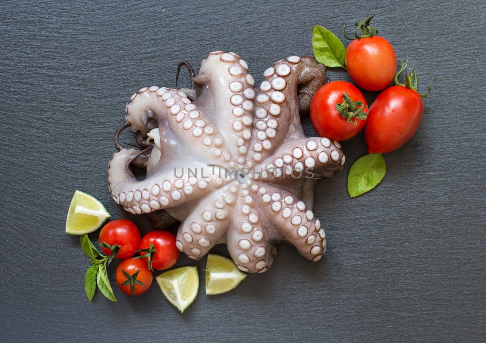Raw octopus with lime, tomatoes and herbs over dark background