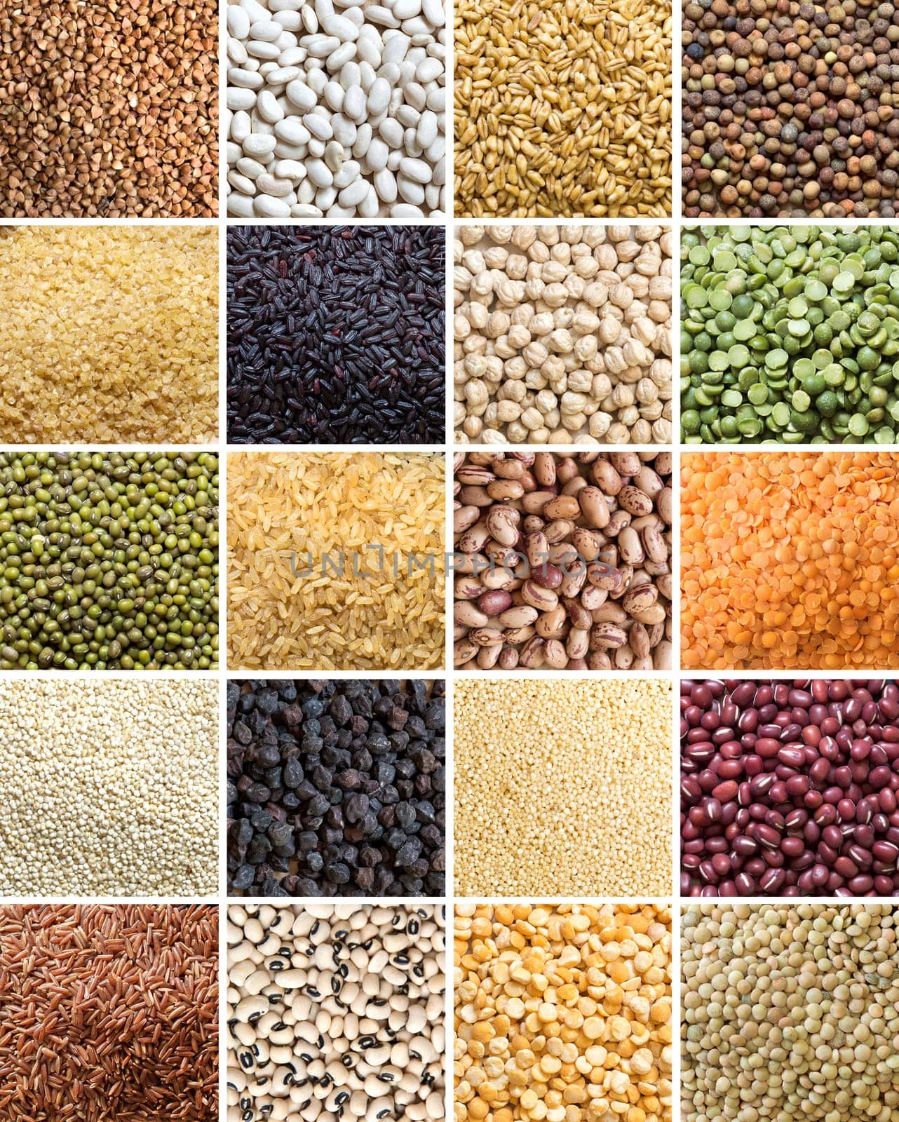 Collage of 20 different legumes and cereals close up