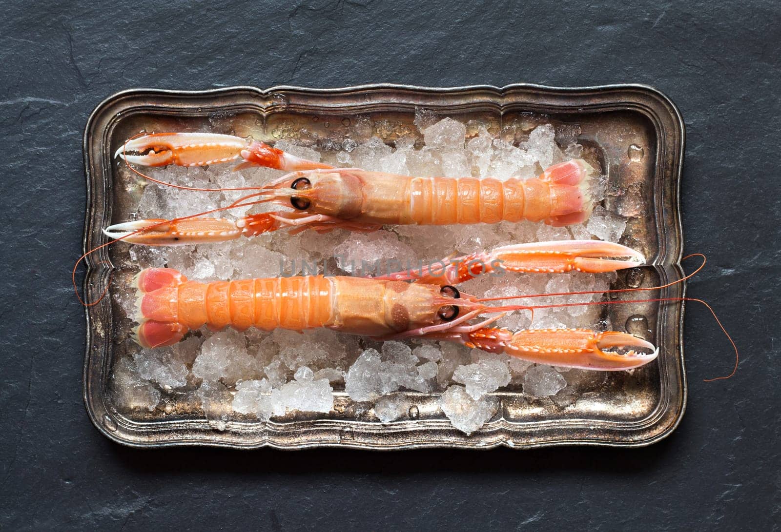 Raw langoustines on ice on a silver tray over dark background top view