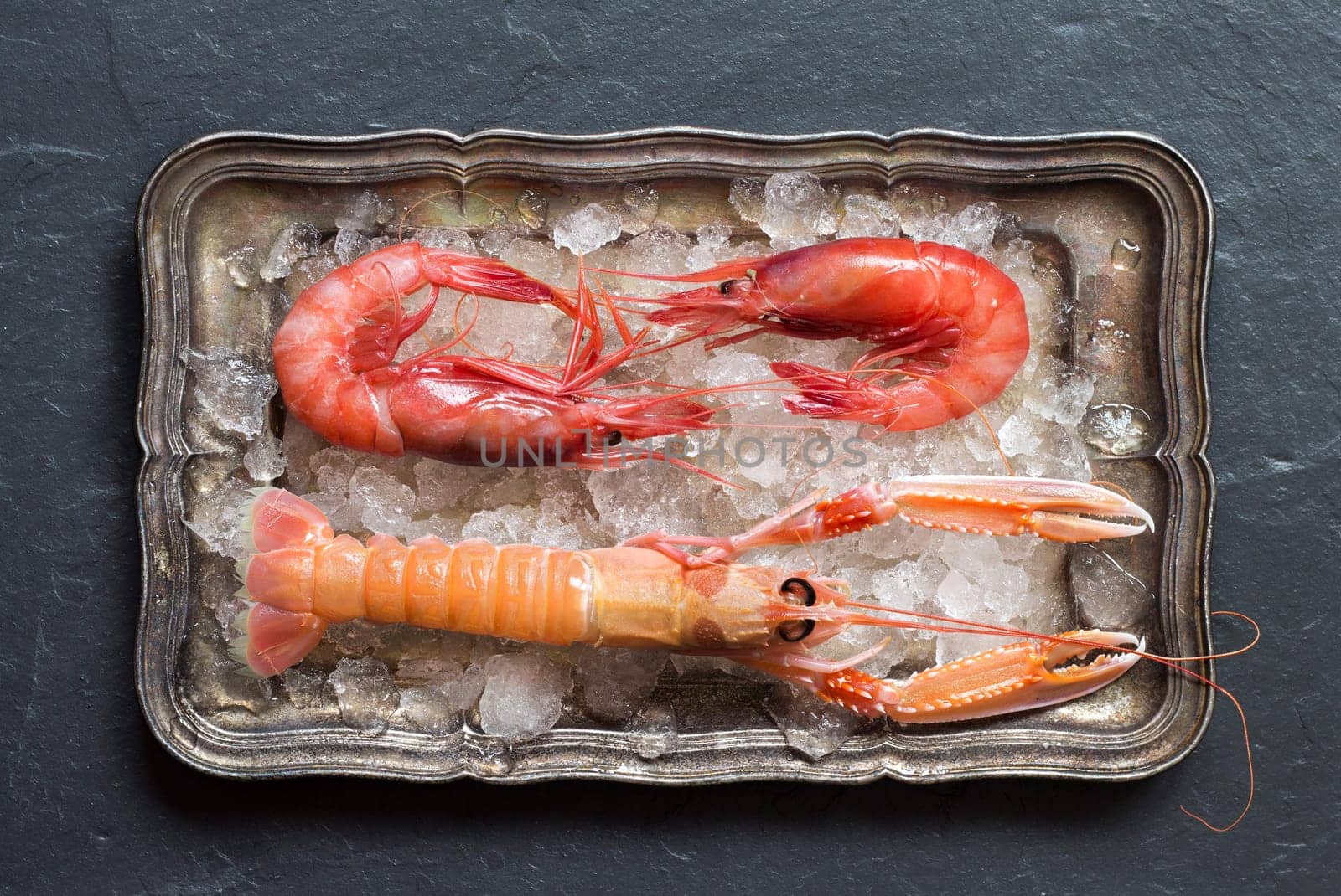 Raw langoustine and shrimps on ice on a silver tray