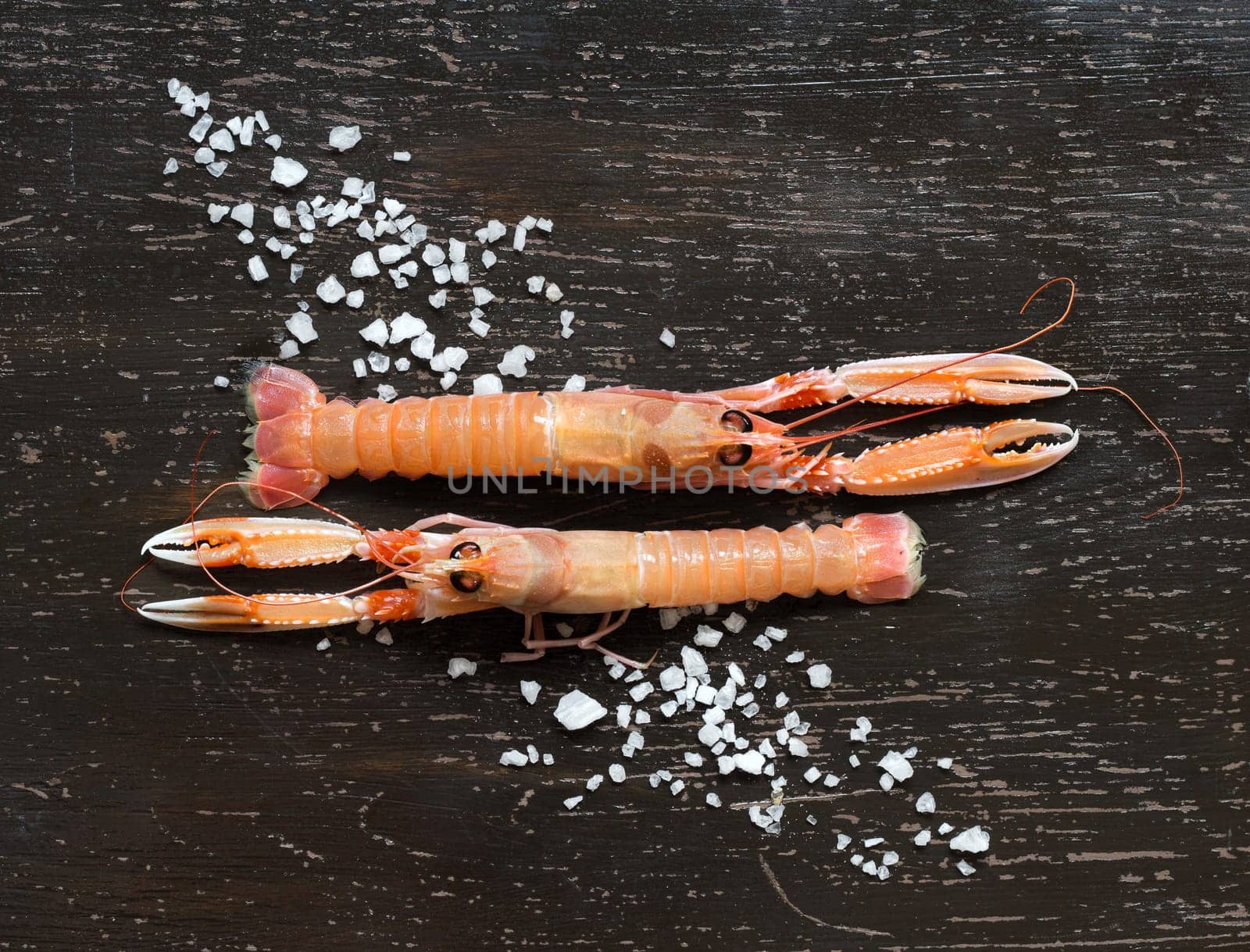 Raw langoustines and salt over dark wooden background